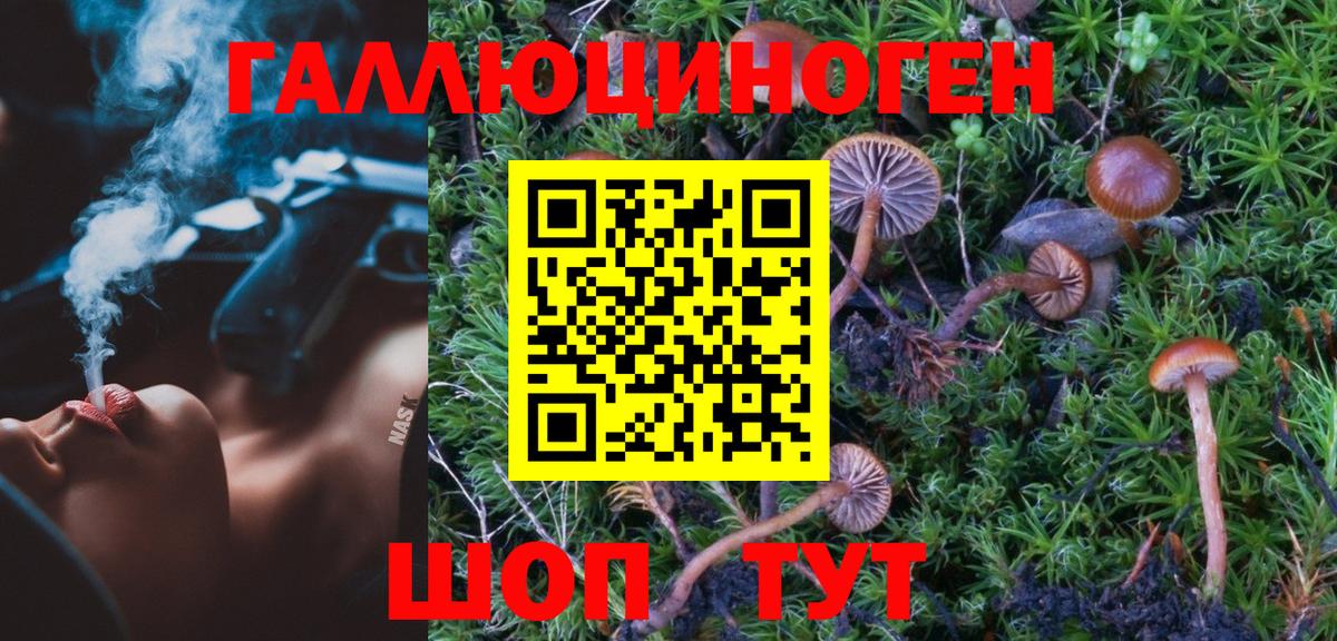 Нефтекамск  Галлюциногенные грибы GOLDEN TEACHER  Вход с VPN 